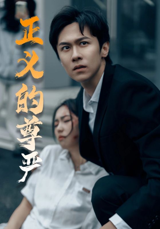 正义的尊严第33集