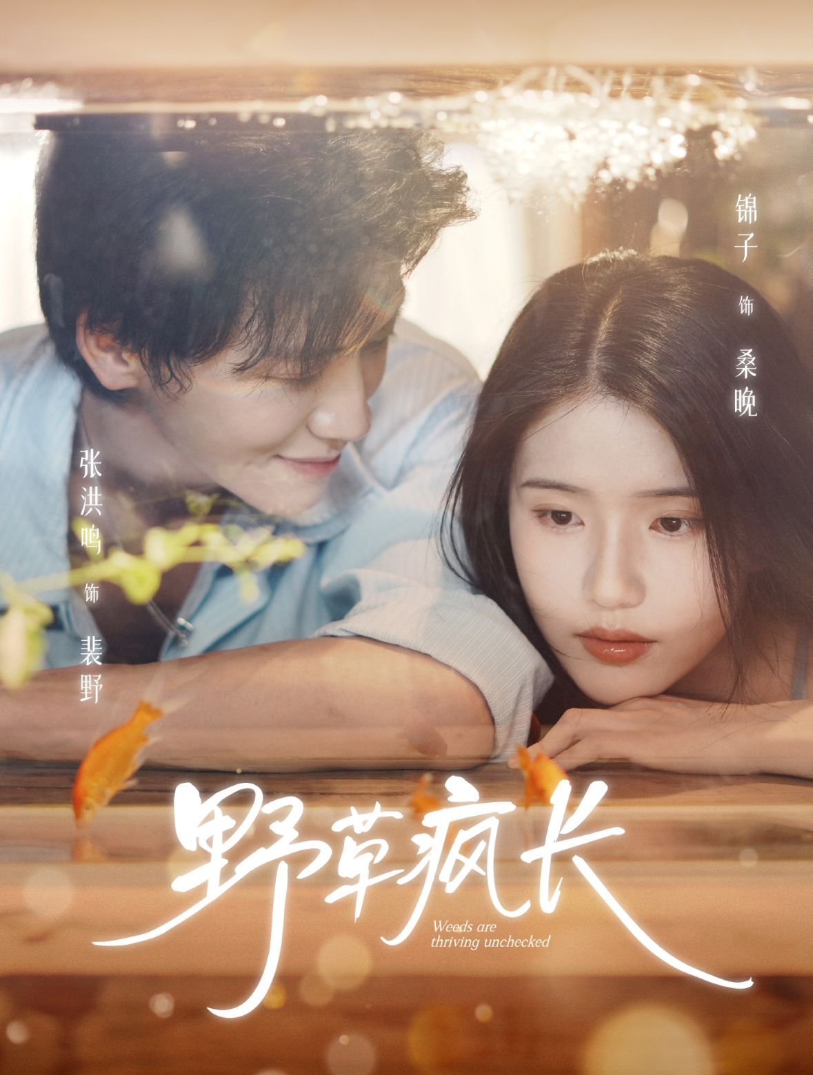 野草疯长(全集)