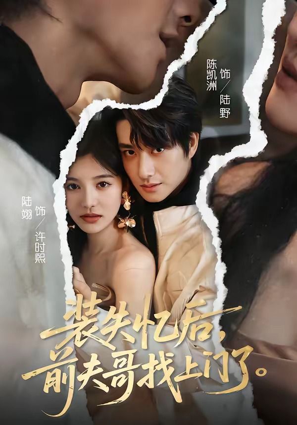 装失忆后，前夫哥找上门了(全集)